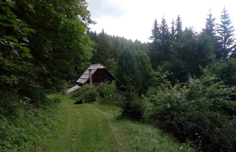 Natuurhuisje in Murau