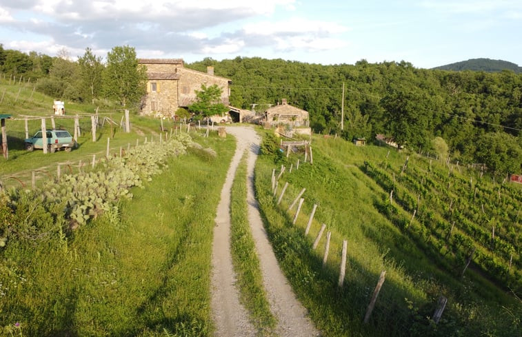 Natuurhuisje in RADDA IN CHIANTI