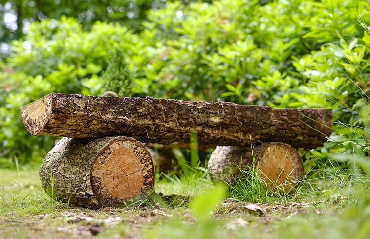 Natuurhuisje in Emst