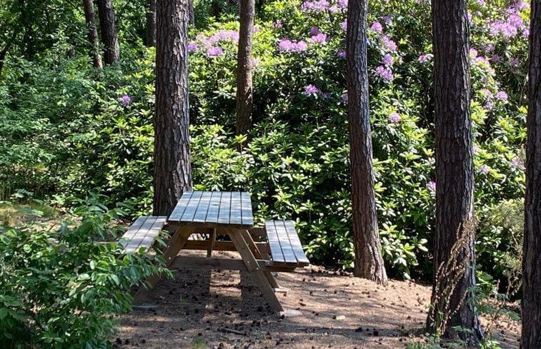 Natuurhuisje in Oisterwijk