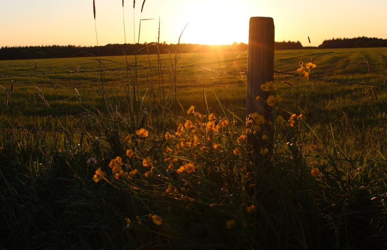 Natuurhuisje in Sondel