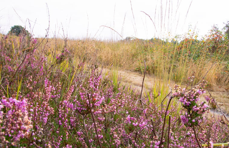 Natuurhuisje in Coevorden