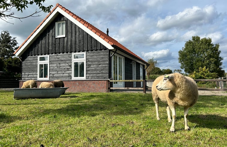 Natuurhuisje in Emst