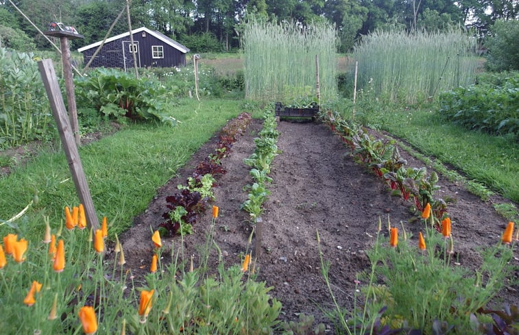 Natuurhuisje in Varssel - Hengelo Gld