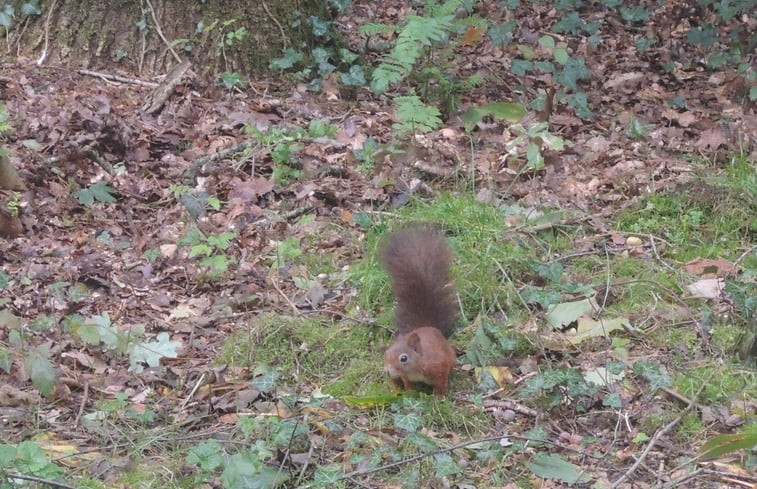 Natuurhuisje in Winterswijk