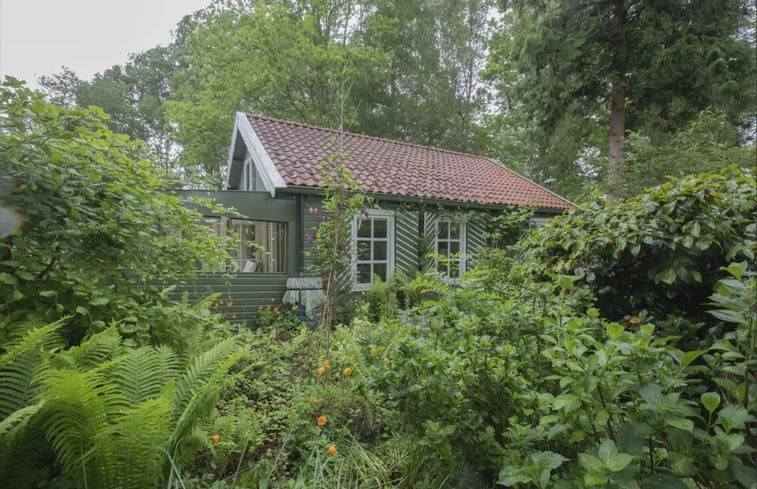 Natuurhuisje in Haren