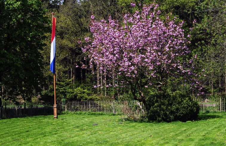 Natuurhuisje in Appelscha (Oude Willem)