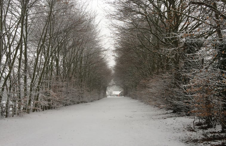 Natuurhuisje in Grubbenvorst