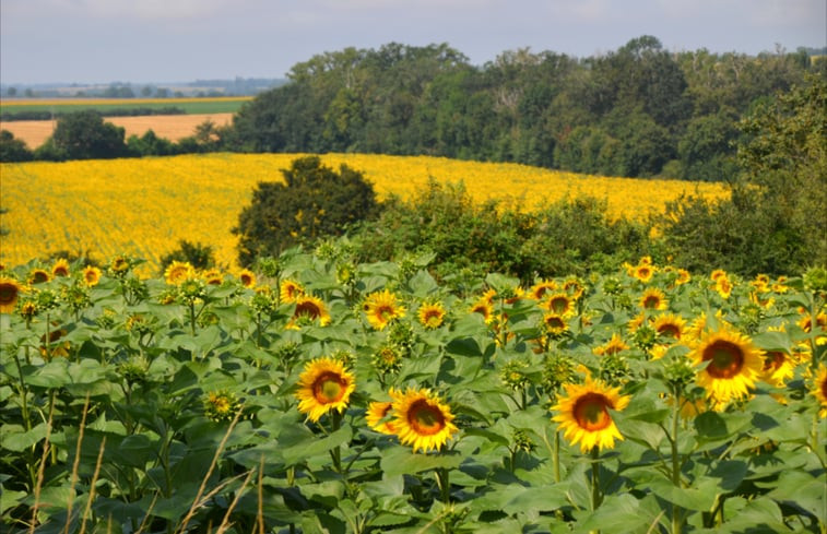 Natuurhuisje in Néret