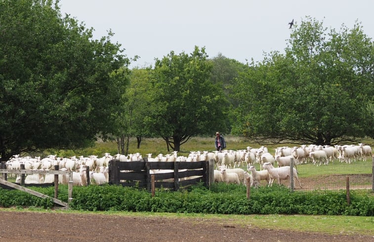 Natuurhuisje in Putten