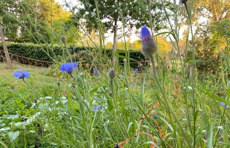 Natuurhuisje in Holtheme