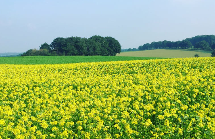 Natuurhuisje in Mook