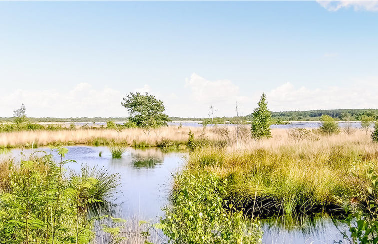 Natuurhuisje in Oosterwolde