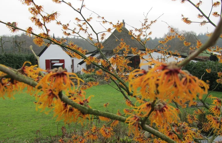 Natuurhuisje in Loenen