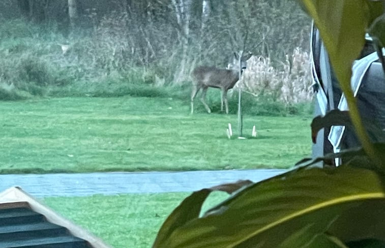 Natuurhuisje in Lommel