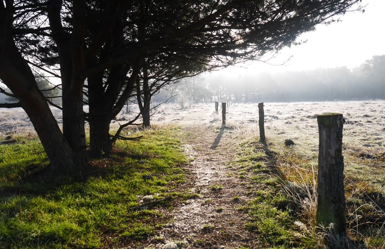 Natuurhuisje in Harfsen