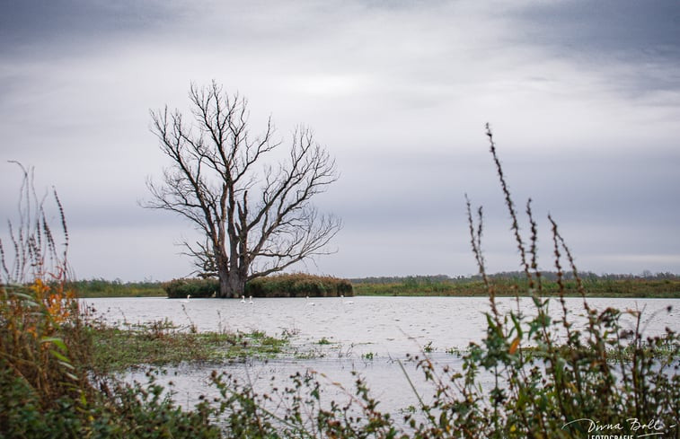 Natuurhuisje in Werkendam