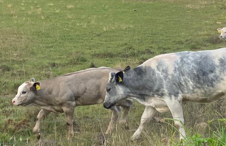 Natuurhuisje in Dwingeloo