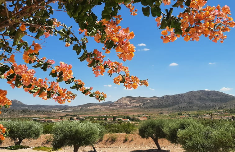 Natuurhuisje in La Canalosa