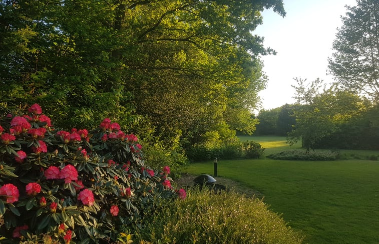 Natuurhuisje in Fochteloo