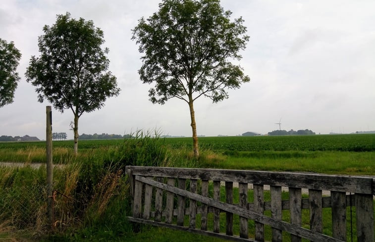 Natuurhuisje in Uithuizermeeden