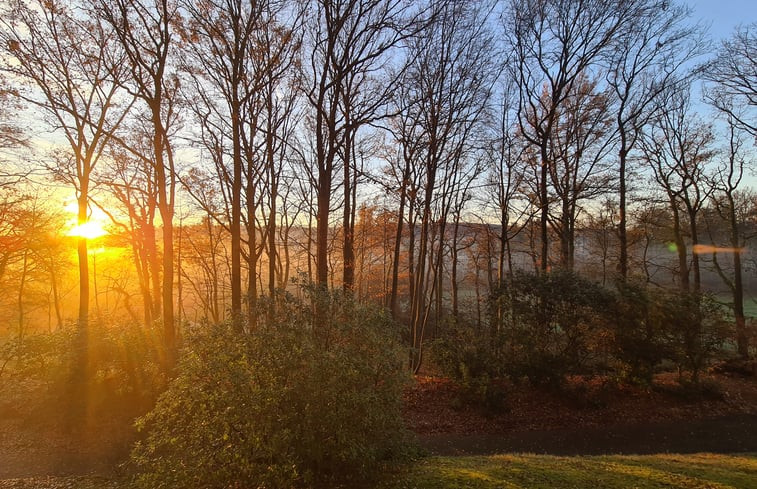 Natuurhuisje in Overijse