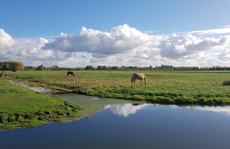 Natuurhuisje in Schoonrewoerd