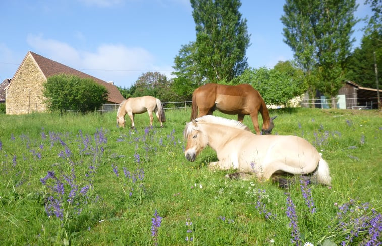 Natuurhuisje in Lanquais