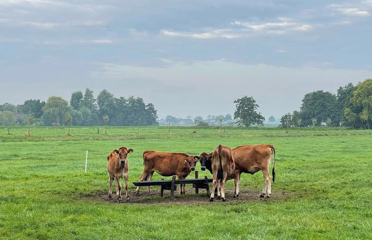 Natuurhuisje in Nieuwer Ter Aa