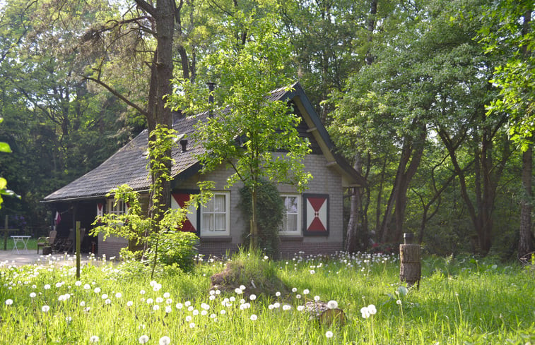 Natuurhuisje in Reusel-Lage Mierde