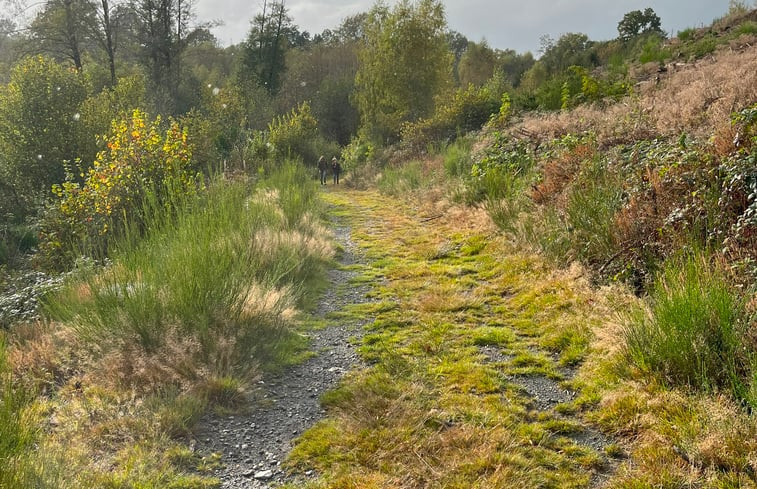 Natuurhuisje in Bertogne