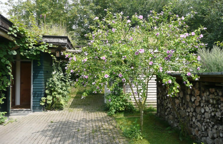 Natuurhuisje in Haaren