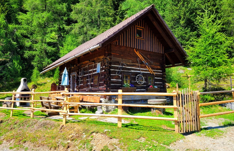 Natuurhuisje in Ebene Reichenau