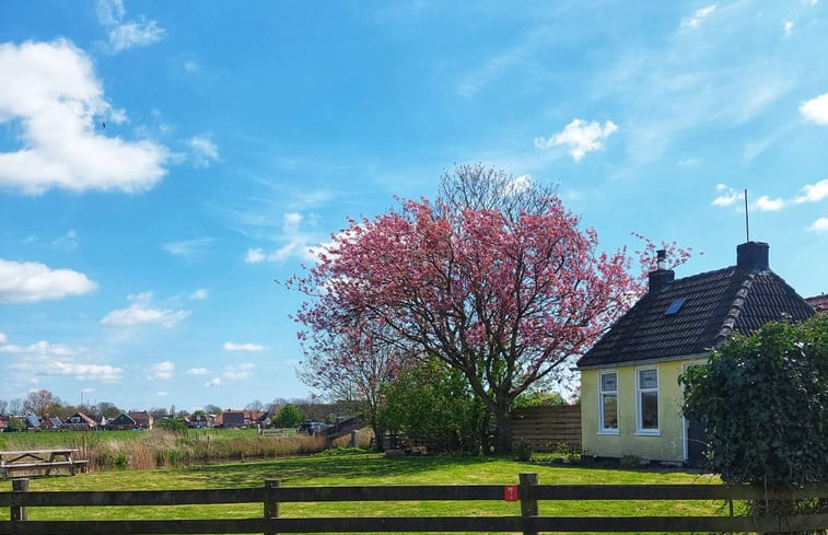 Natuurhuisje in Welsrijp