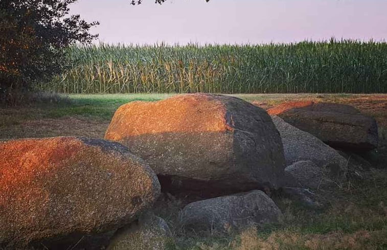 Natuurhuisje in Norg