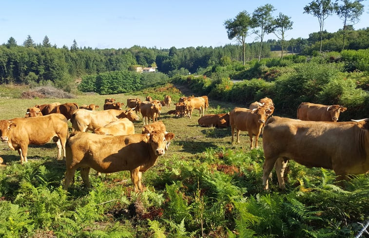 Natuurhuisje in PENSOL