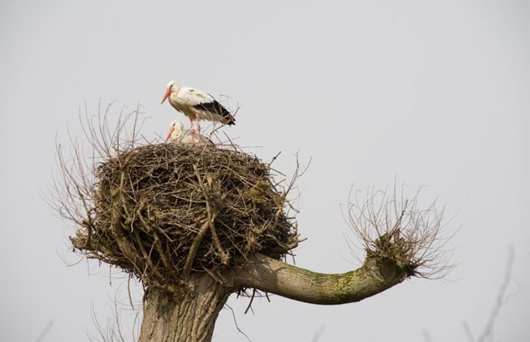 Natuurhuisje in Vreeland