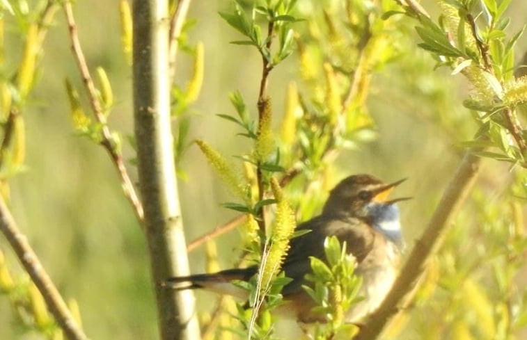 Natuurhuisje in Kalenberg