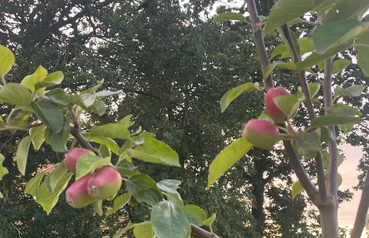 Natuurhuisje in Grou