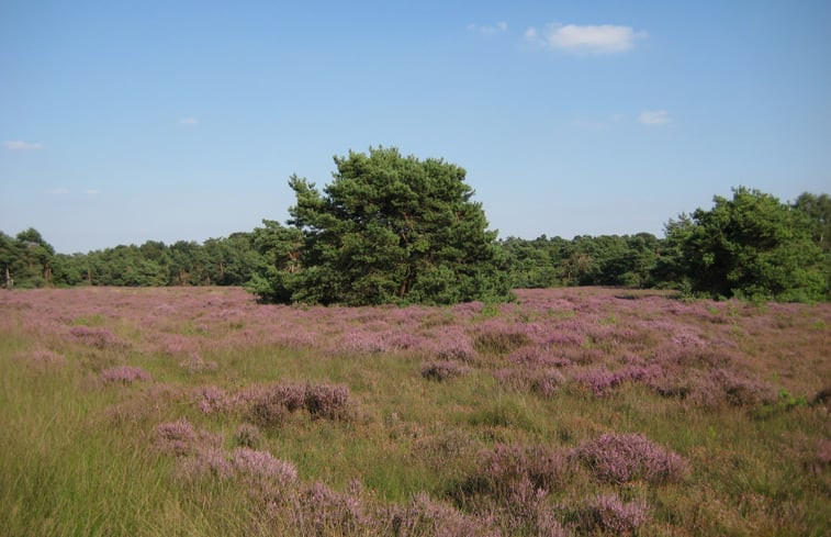 Natuurhuisje in Haaksbergen