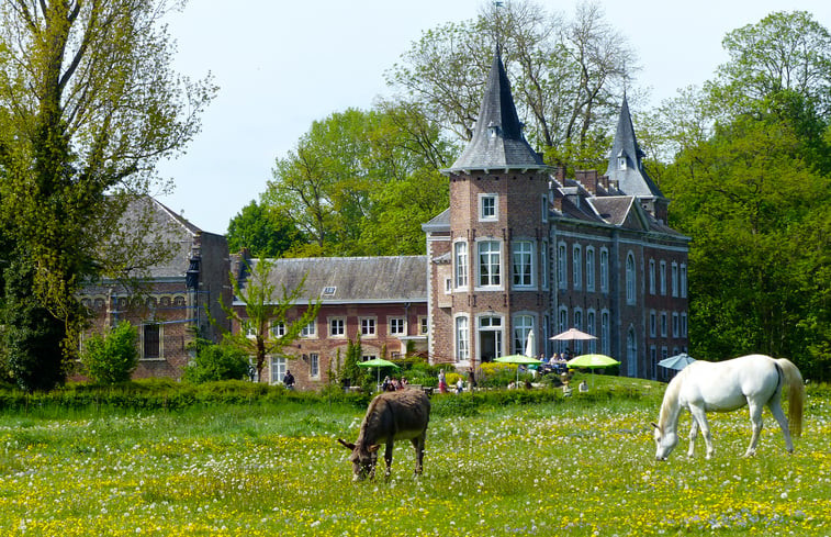 Natuurhuisje in Sint-Truiden