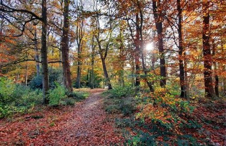 Natuurhuisje in Roden