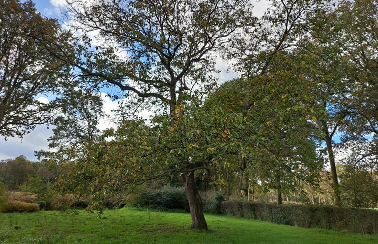 Natuurhuisje in Nijkerk