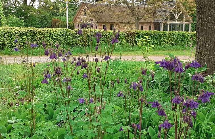 Natuurhuisje in Tonden