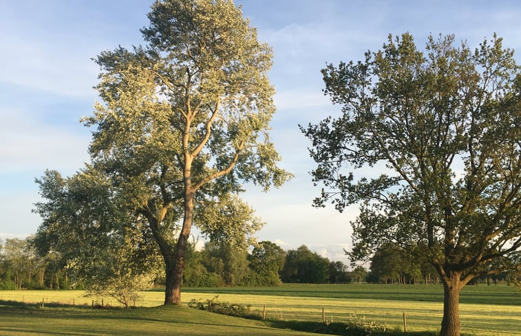 Natuurhuisje in Harfsen