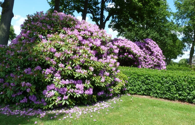 Natuurhuisje in Smilde