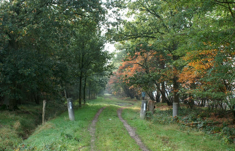 Natuurhuisje in baarschot gem hilvarenbeek