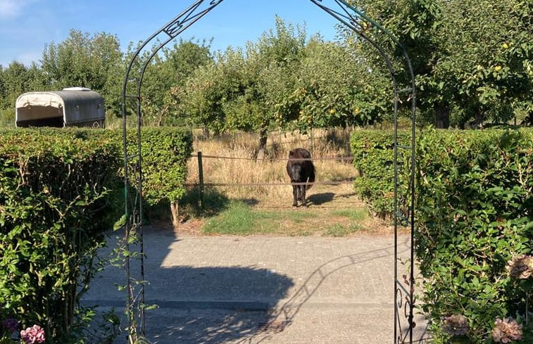 Natuurhuisje in Oudelande