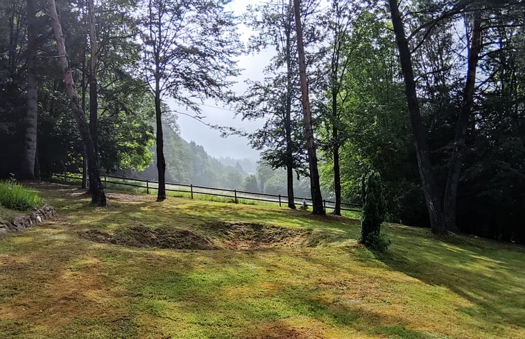 Natuurhuisje in Fraize