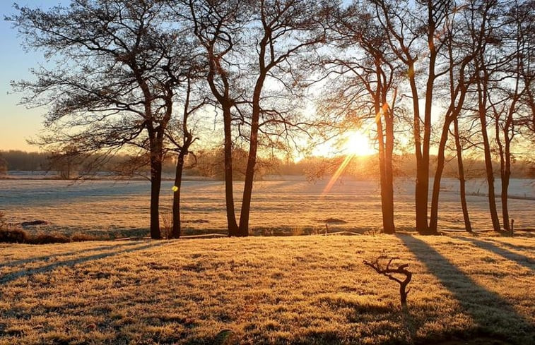 Natuurhuisje in Ureterp